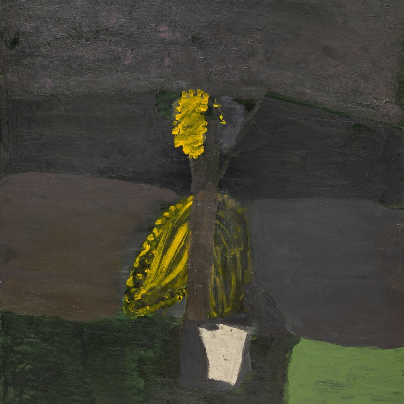 Rain on the Wattle