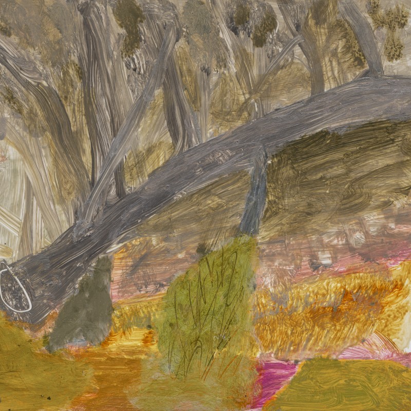 River Bed with Bent Tree