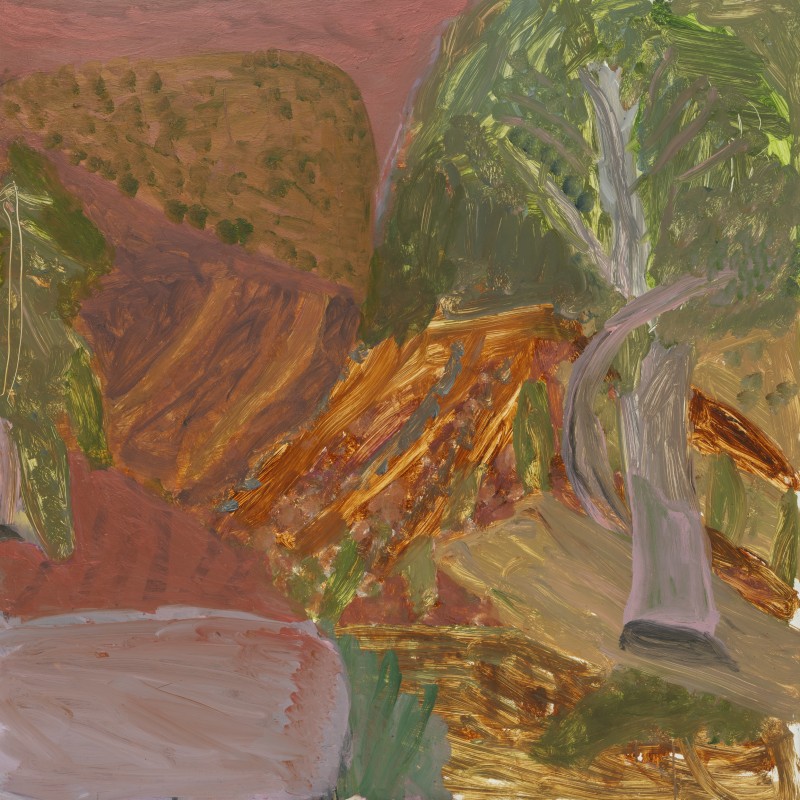 Tree and Rock Face, East Macdonnell Ranges