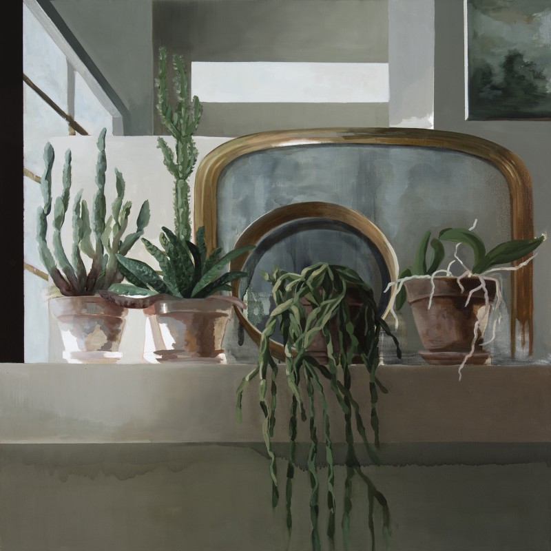 Still Life With Cactus