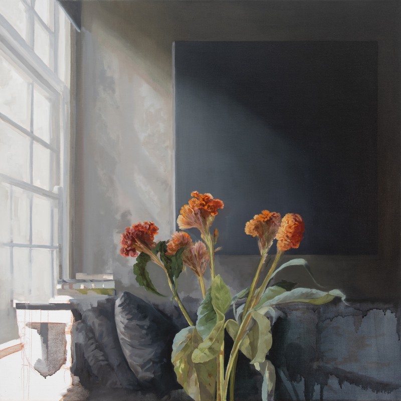 Celosia