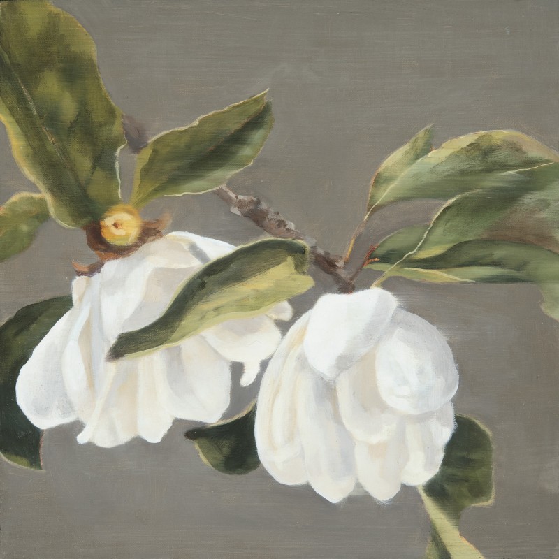 Magnolias