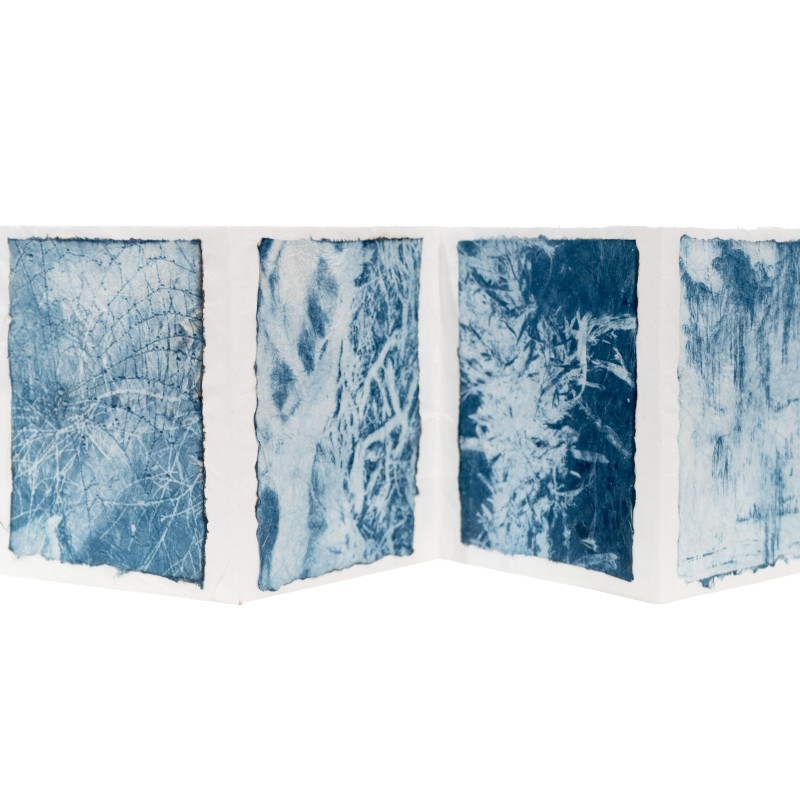 Untitled [Leaves & Bark]