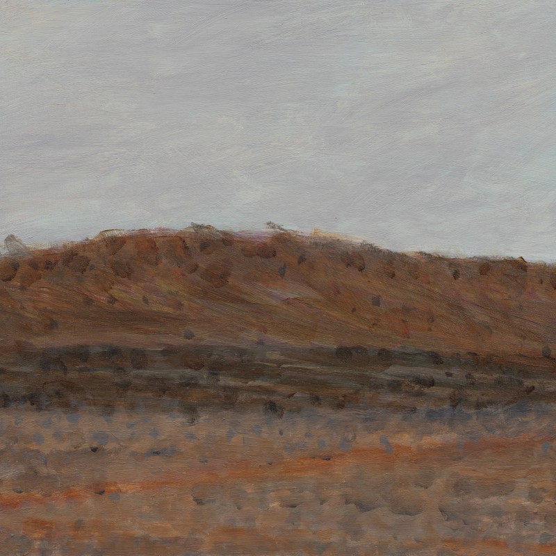 Painting 342 (Fowlers Gap)