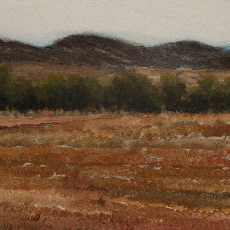 Painting 344 (Fowlers Gap)