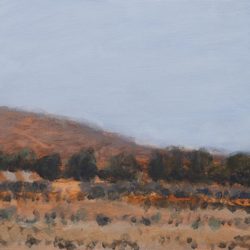 Painting 341 (Fowlers Gap)