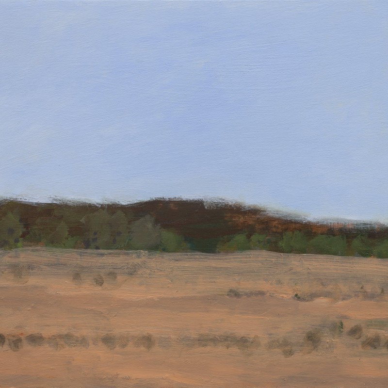 Painting 343 (Fowlers Gap)