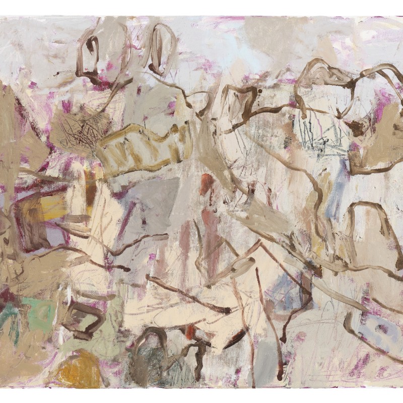 The Arkaroola