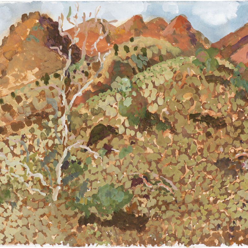 The Hill from Grindells Hut Gammon Ranges SA, 15th June