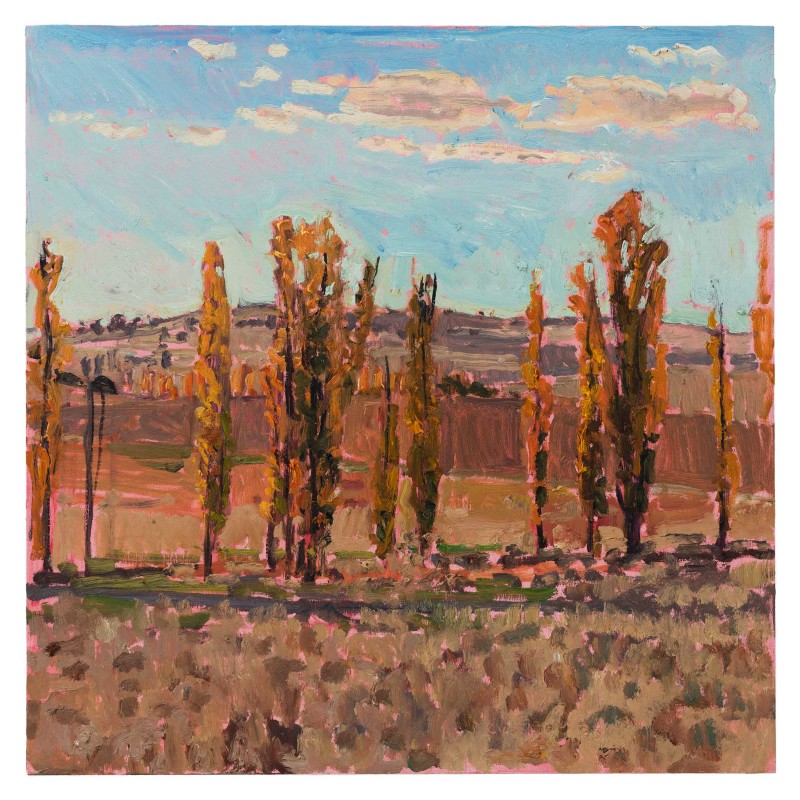Gunningrah Poplars ll