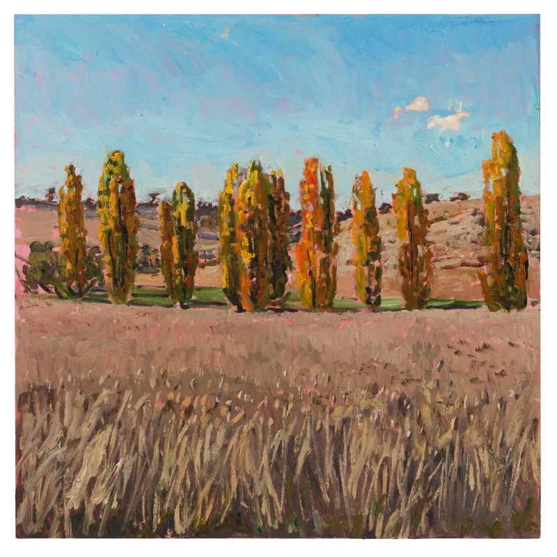 Poplars
