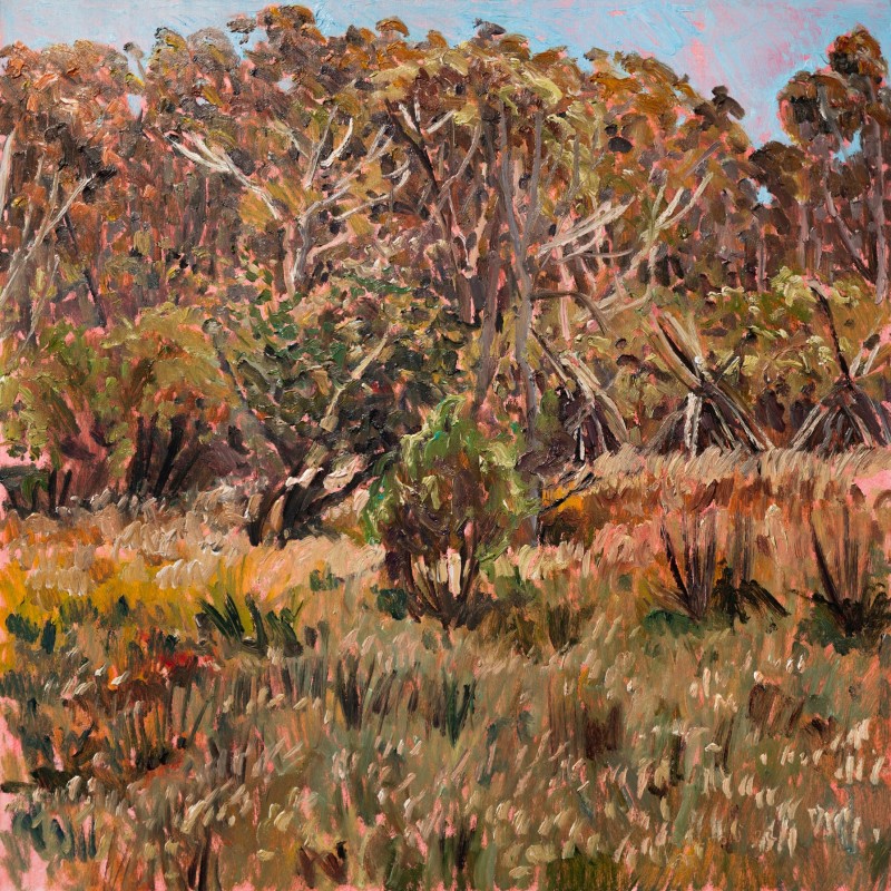 Top Swamp I