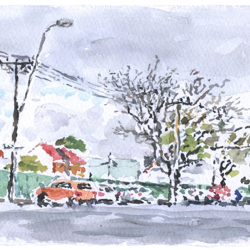 Green Fence, Gouger Street, Adelaide